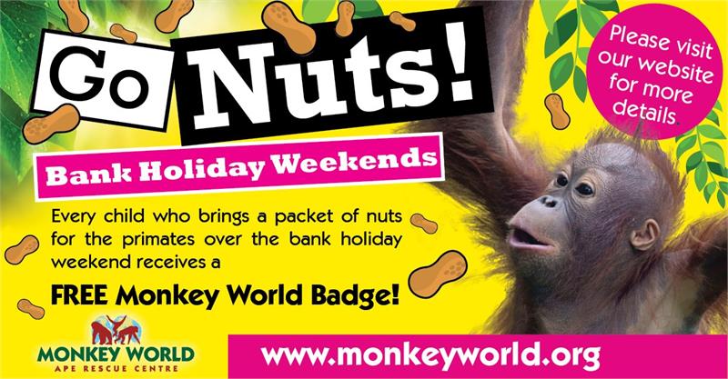 Go Nuts at Monkey World this Bank Holiday!