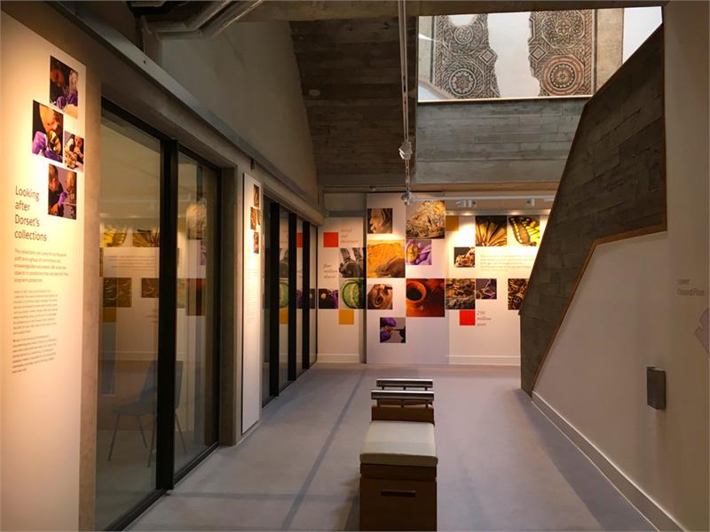 Collections Discovery Centre Family Tours