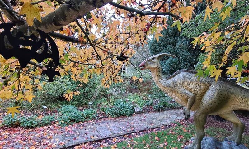 Spooky Woodland Walk