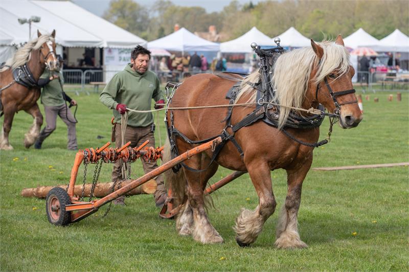 Spring Countryside Show