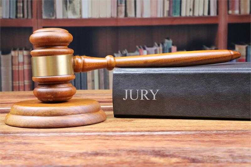‘You the Jury Day’ with Diane Janes.