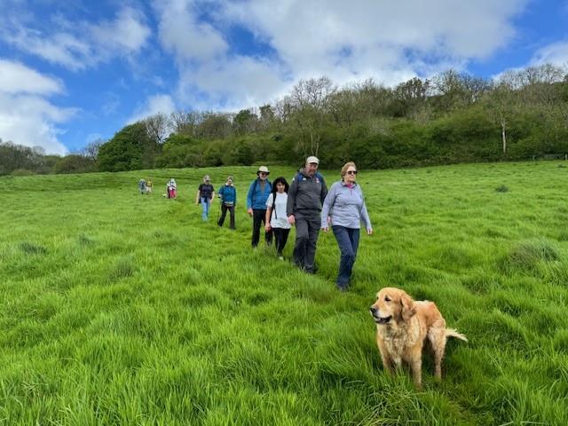 Dorchester Walking Festival