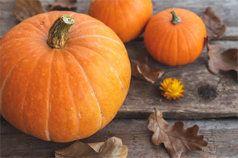 Children's Autumn Pumpkin Trail