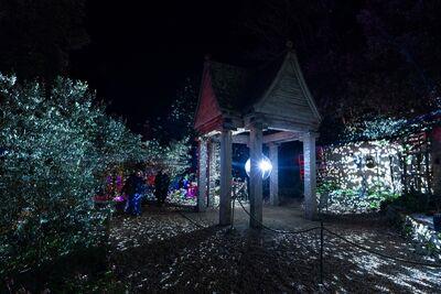 Abbotsbury Gardens Illuminate