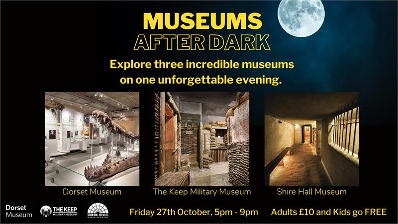 Museum After Dark