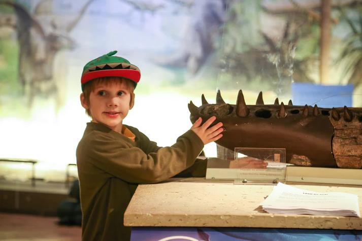 Dinosaur Sleepover - Dorset Museum