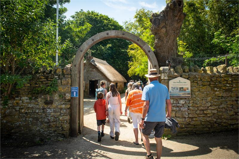 Abbotsbury Swannery Food & Craft Fair