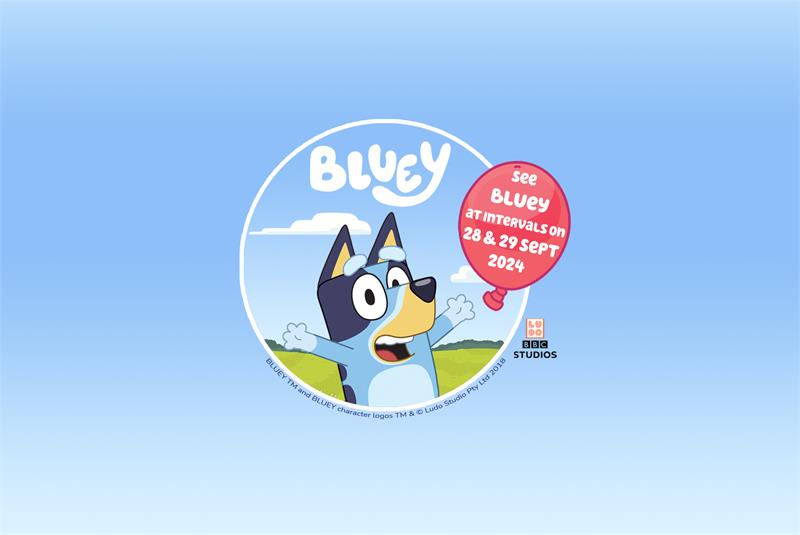 WACKADOO! Bluey is visiting Swanage Railway!