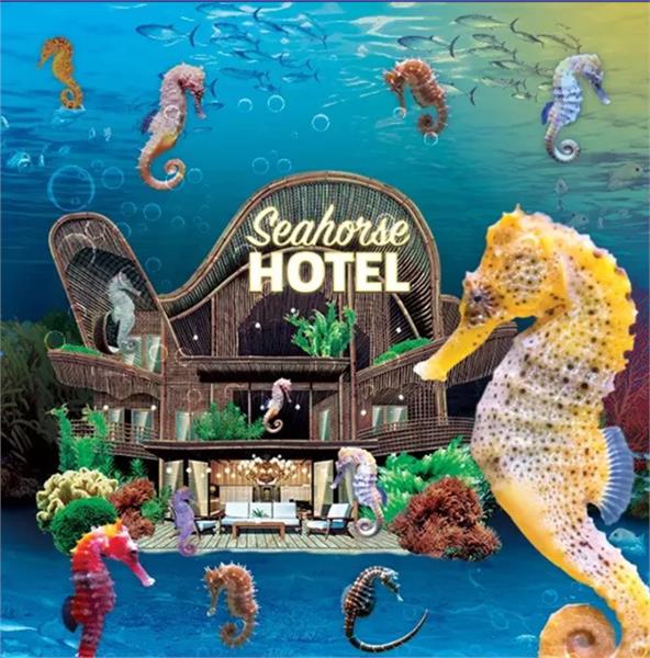 Seahorse Hotel