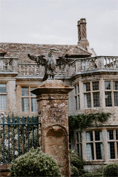 Birds of prey experience at Mapperton 