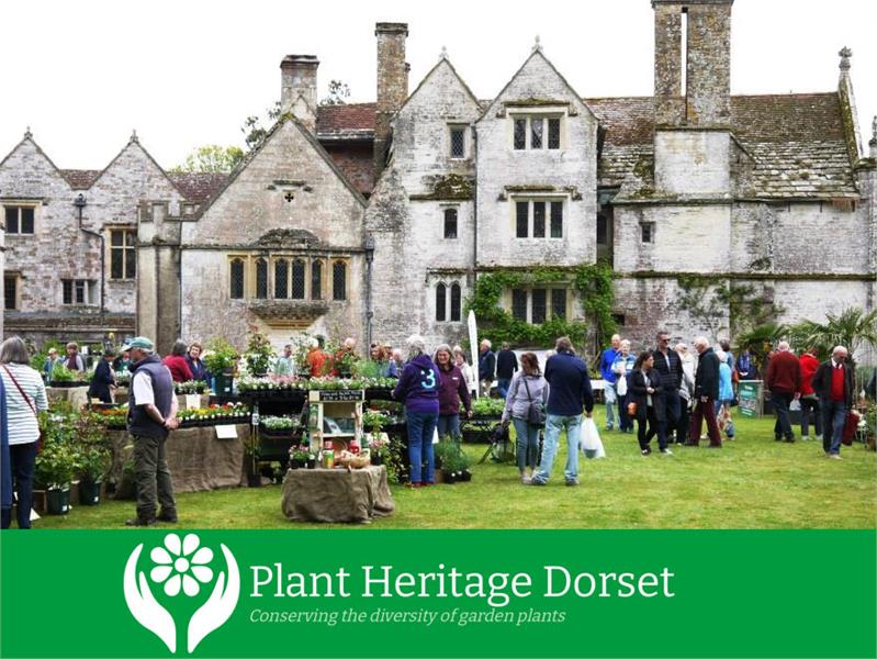 Spring Plant Fair at Athelhampton