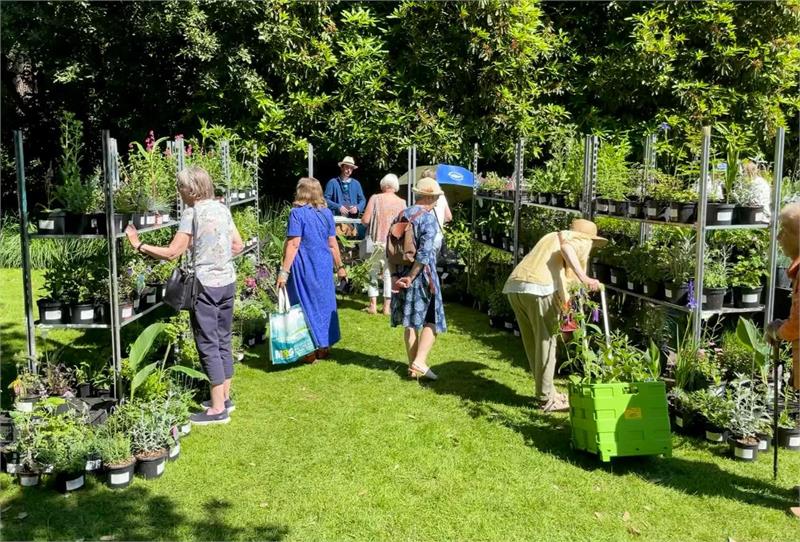 Abbotsbury Gardens Plant Fair