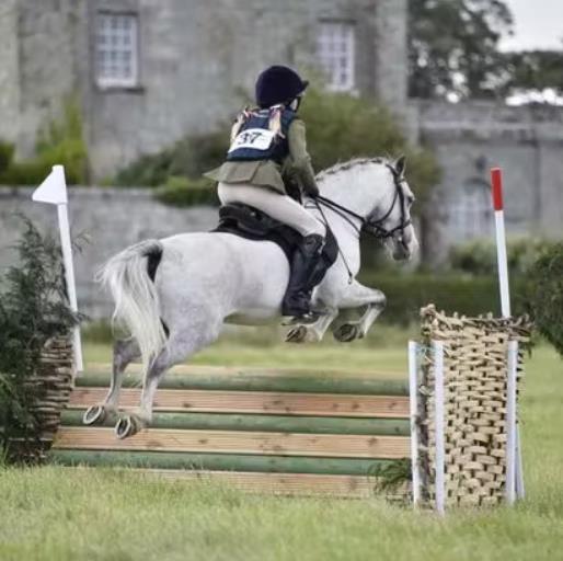 The Tarrant Gunville Horse Show and Gymkhana
