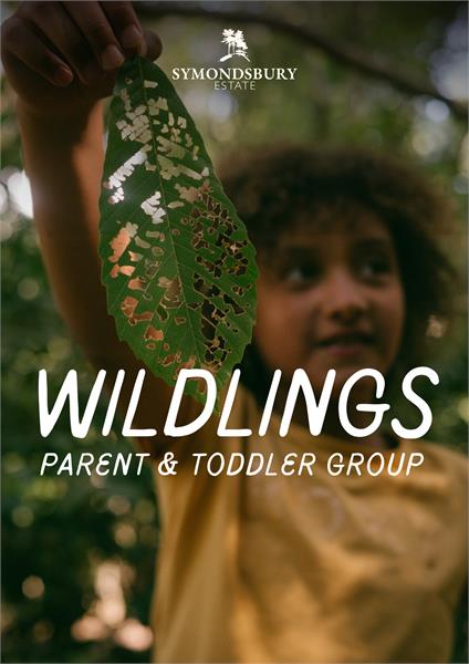 Wildlings Parent & Toddler Group