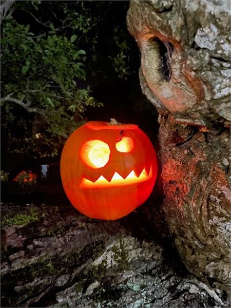Spooks by the Sea - Parade & Trunk or Treat