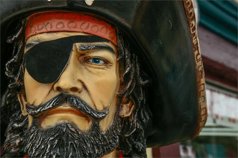 Pirates of Coastal Vibes Party Cruise