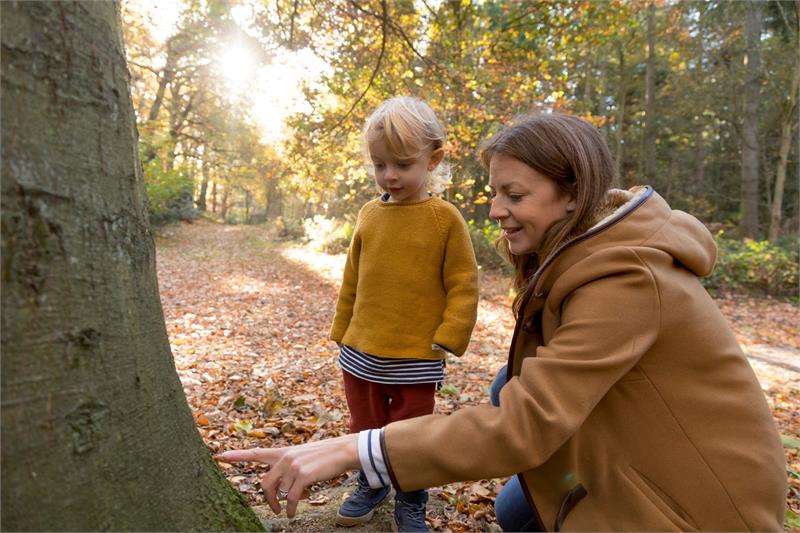 Mystical Woodland Quest Trail