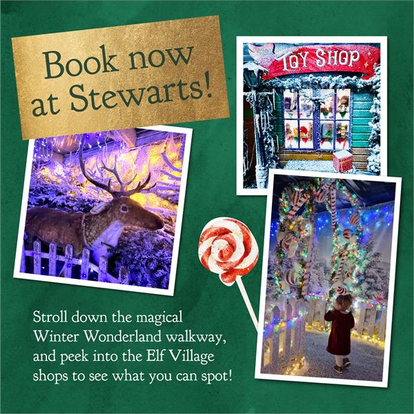 Santa's Winter Wonderland Sen Sessions