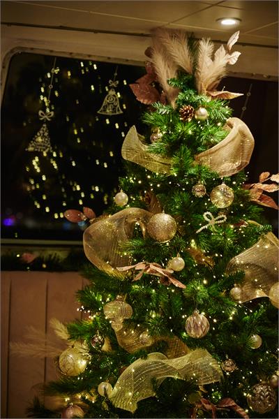 Festive Thursdays - event in Weymouth