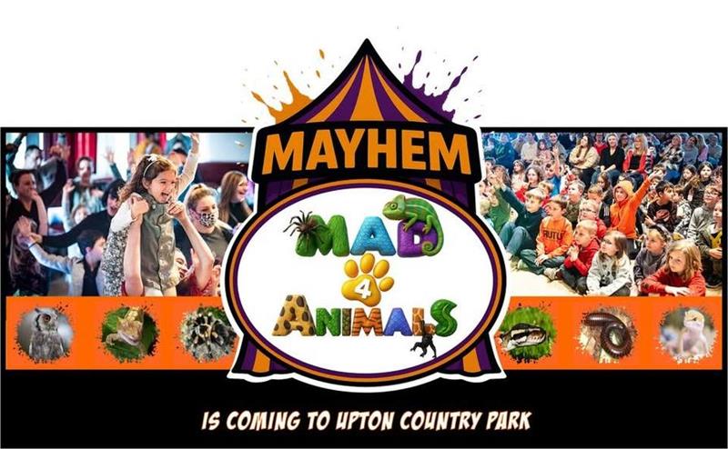 Mayhem of Mad4Animals