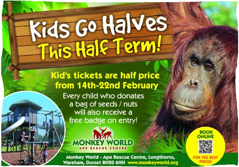 Kids go Halves at Monkey World