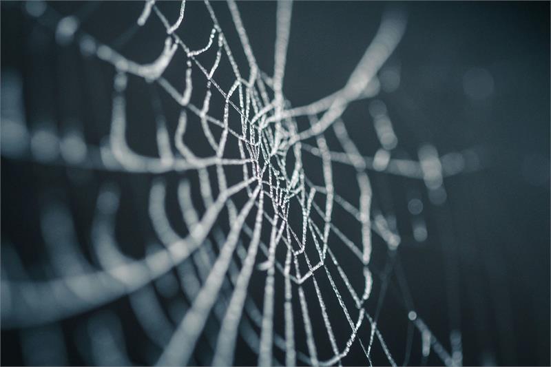 Halloween Quiz with Ultimate Party Nights