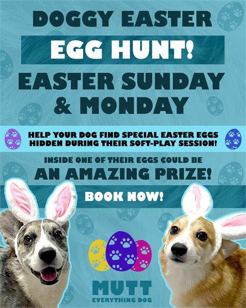 Doggy Easter Egg Hunt - event in Dorchester