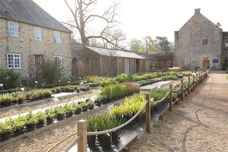 Spring Plant & Gardening Fair