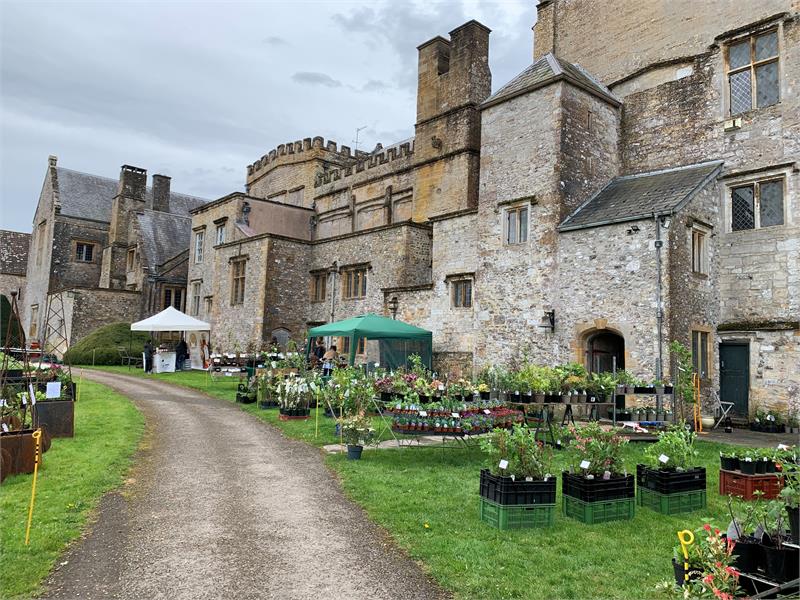 Spring Plant & Gardening Fair