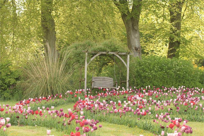 BMW Car Club Show - Southern Concours