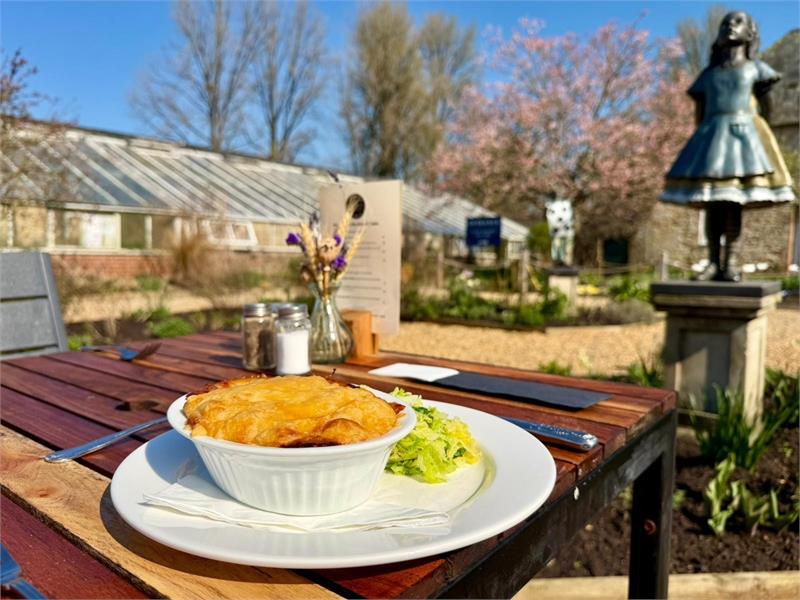 BMW Car Club Show - Southern Concours