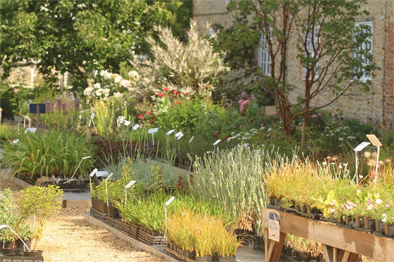 BMW Car Club Show - Southern Concours