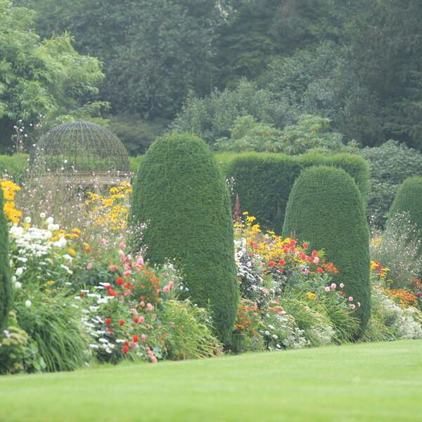 Autumn Plant & Gardening Fair - event in Lyme Regis
