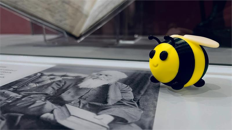The Buzzing Dumbledore Trail - event in Dorchester