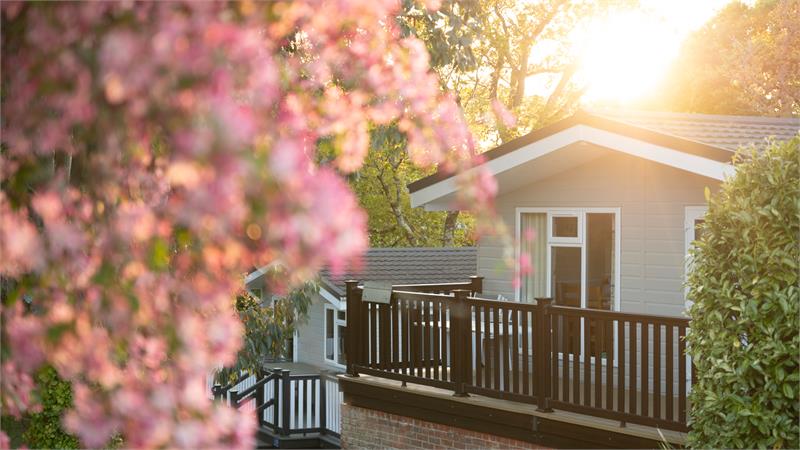 Shorefield Country Park