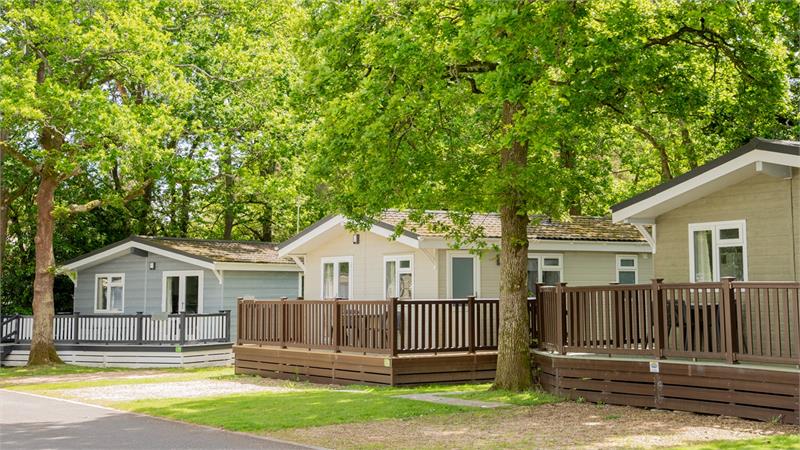 Forest Edge Holiday Park