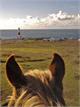 Chesil Equestrian Centre