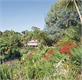 Abbotsbury Subtropical Gardens