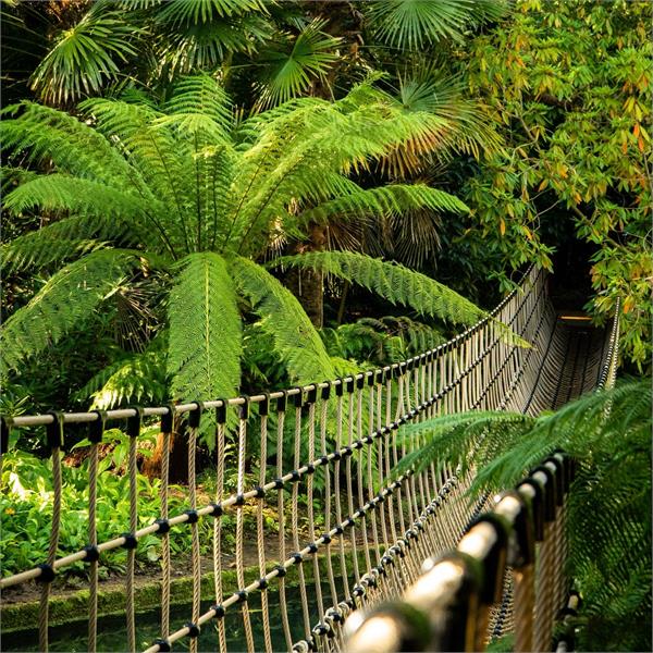 Abbotsbury Subtropical Gardens